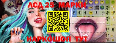 мдпв Нальчик