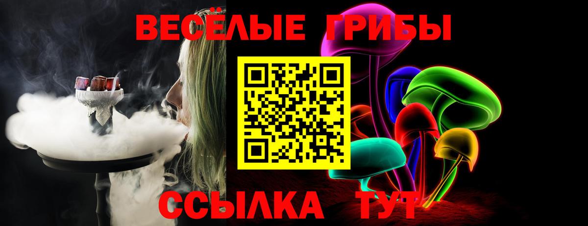 Псилоцибиновые грибы GOLDEN TEACHER  Галлюциногенные грибы мухоморы  купить наркотики цена  Вход с VPN  Фурманов 